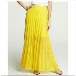 Xxsp anntaylor pleated skirt